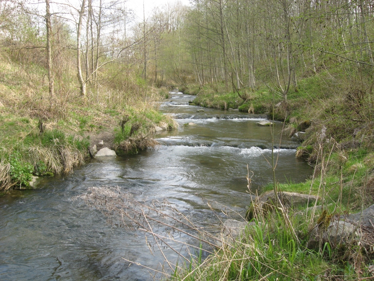 Bilder Iller Naturraum Iller